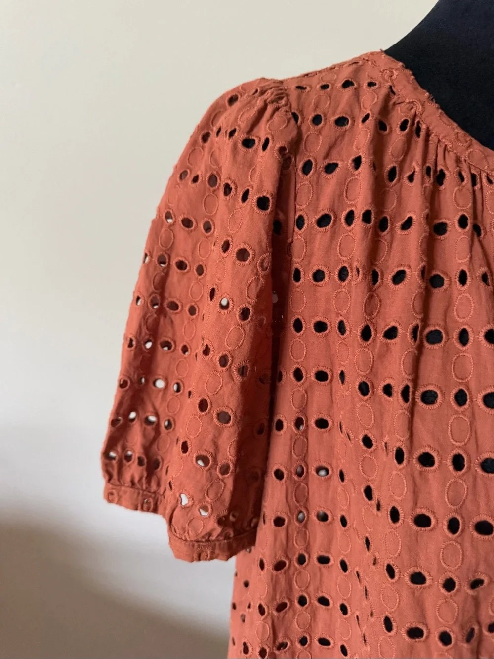LOFT Brown Eyelet Button-Front Short Sleeve Blouse Small